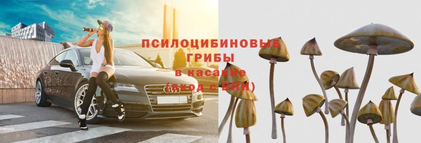 прущие крисы Армянск