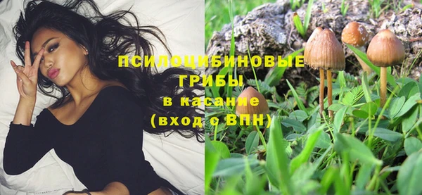 мескалин Арсеньев