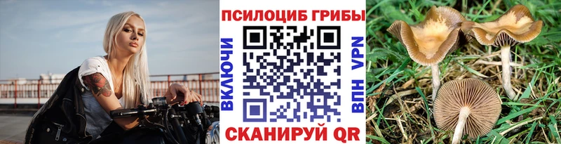 Псилоцибиновые грибы мицелий  Белоозёрский 